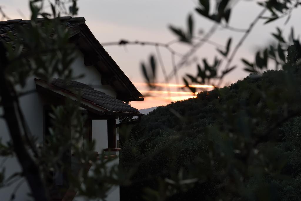 Agriturismo La Casuccia Castelfranco di Sopra Exteriér fotografie